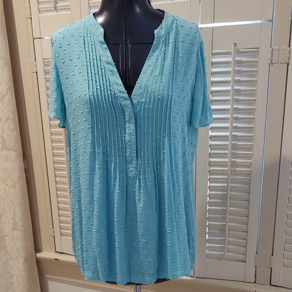 Aqua Light & Loose Pleated V-Neck Short Sleeved Blouse Soft Surroundings PS